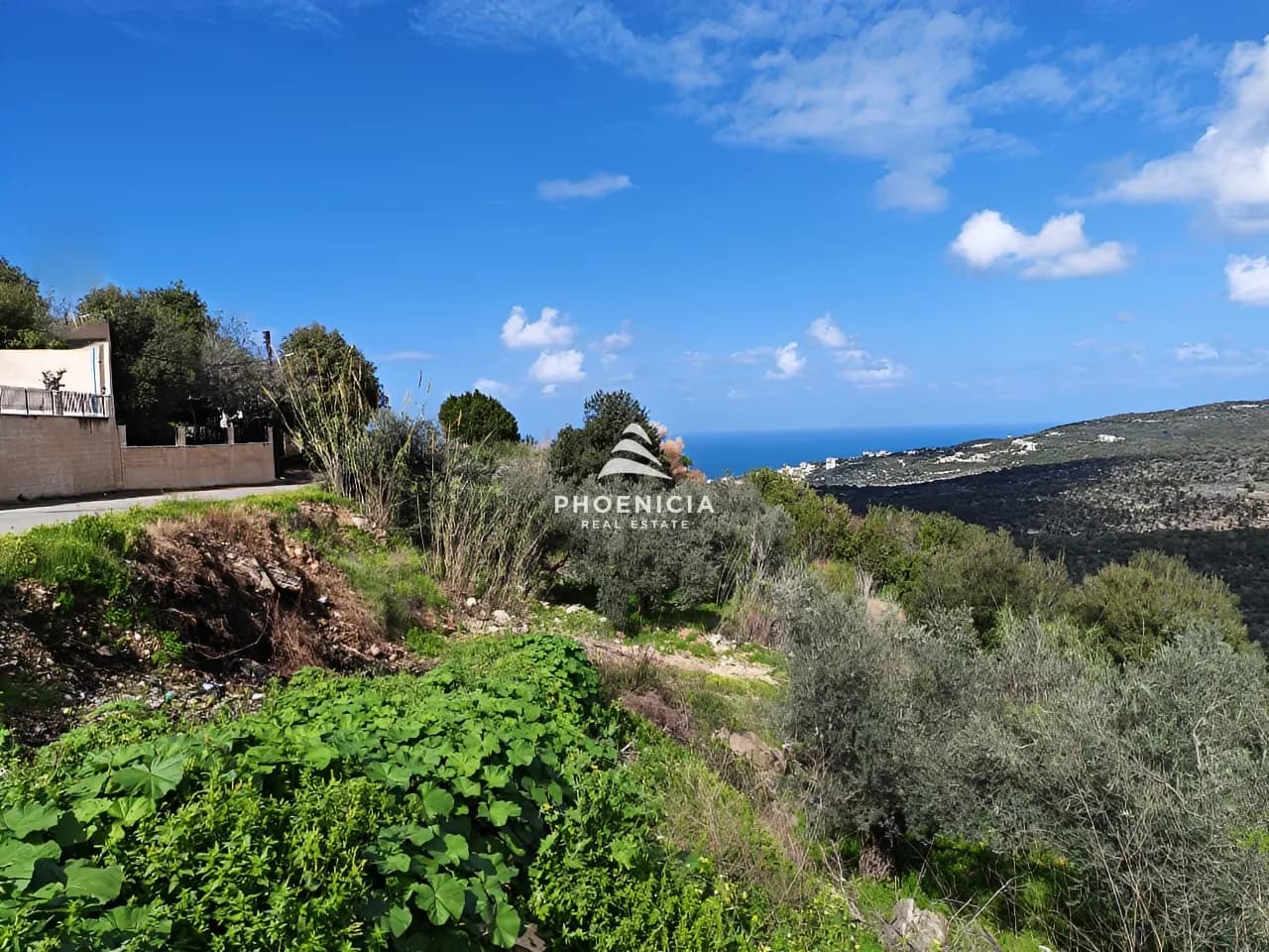 Land for Sale in Chikhane — photo 5