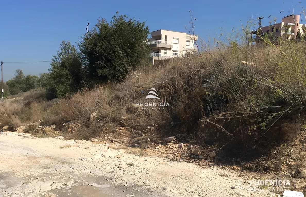 Land for Sale in Edde — photo 4