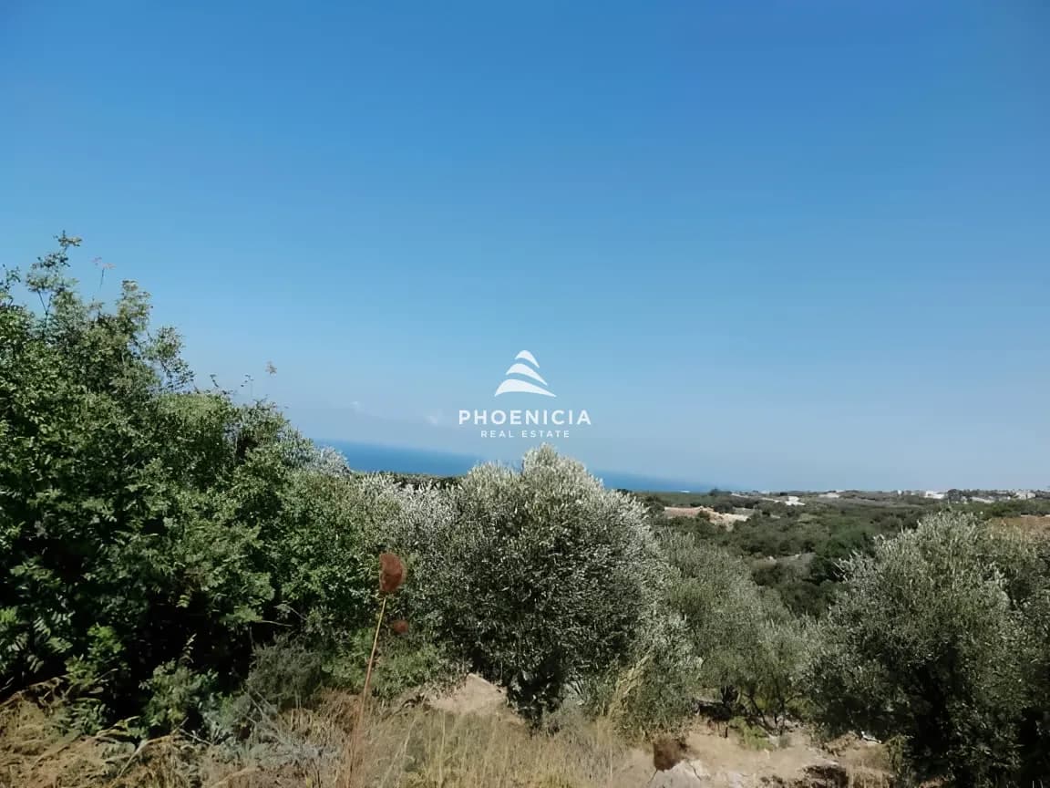 Land for Sale in Monsef — photo 3