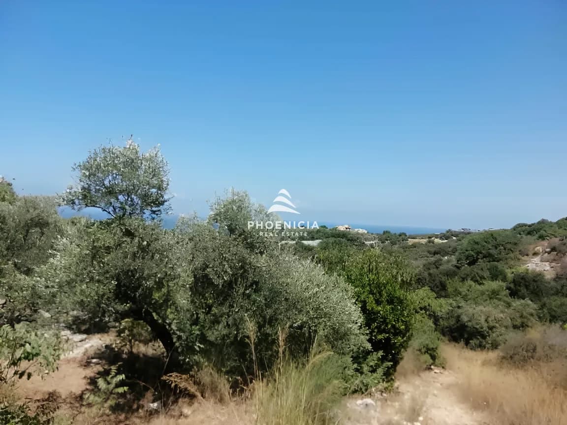 Land for Sale in Monsef — photo 4