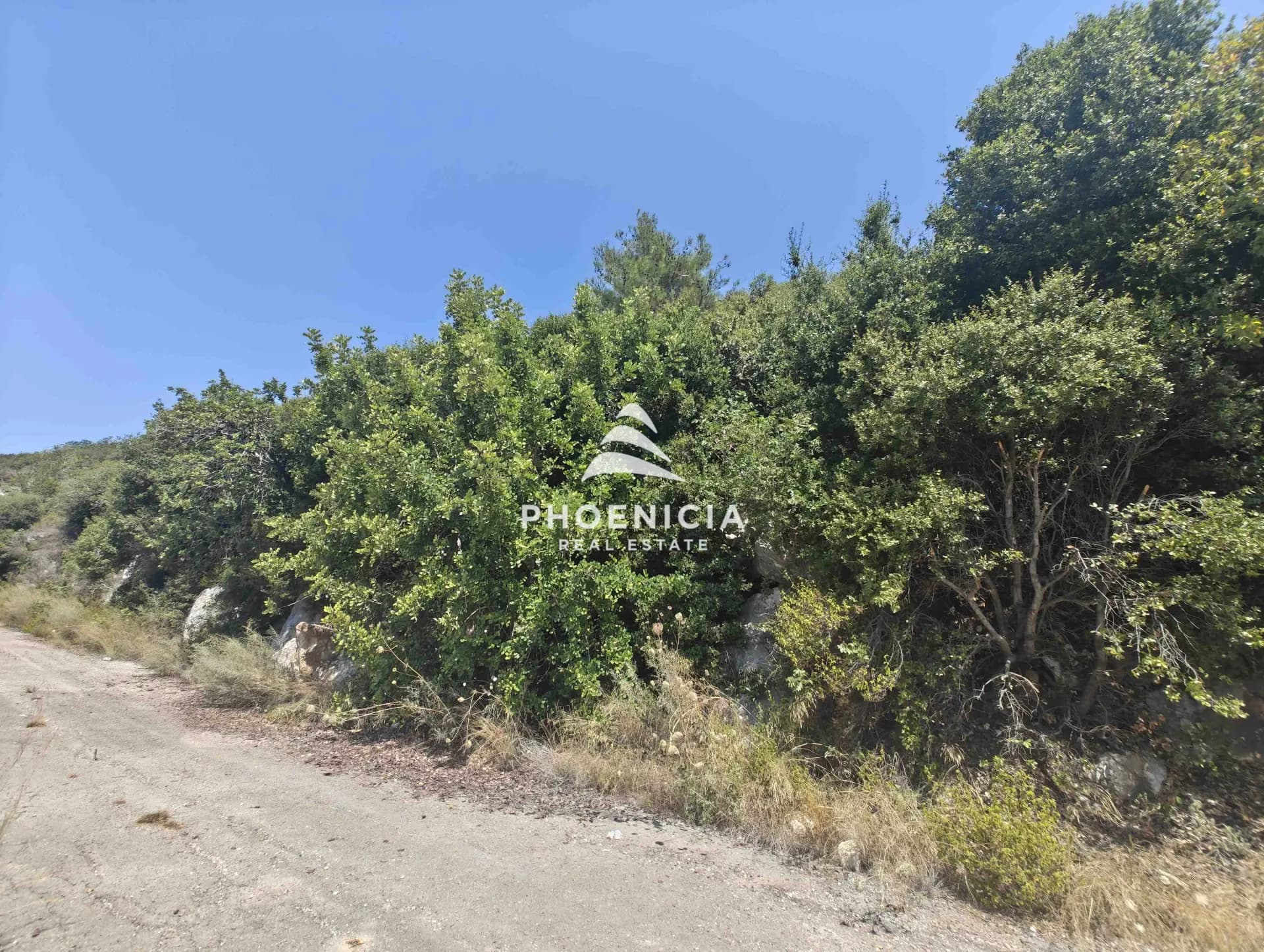 Residential Land for sale in Blat, Jbeil, Lebanon — photo 6