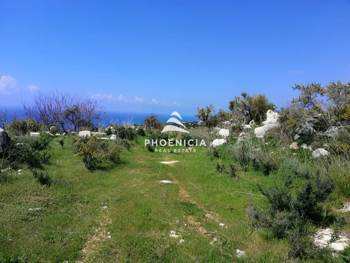 Land for sale in Chikhane, Jbeil, Lebanon — photo 7