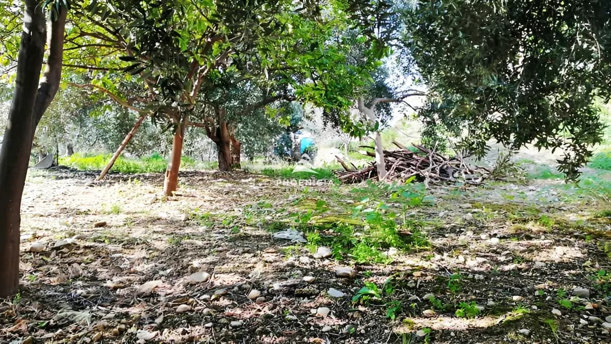 Land for Sale in Blat — photo 4