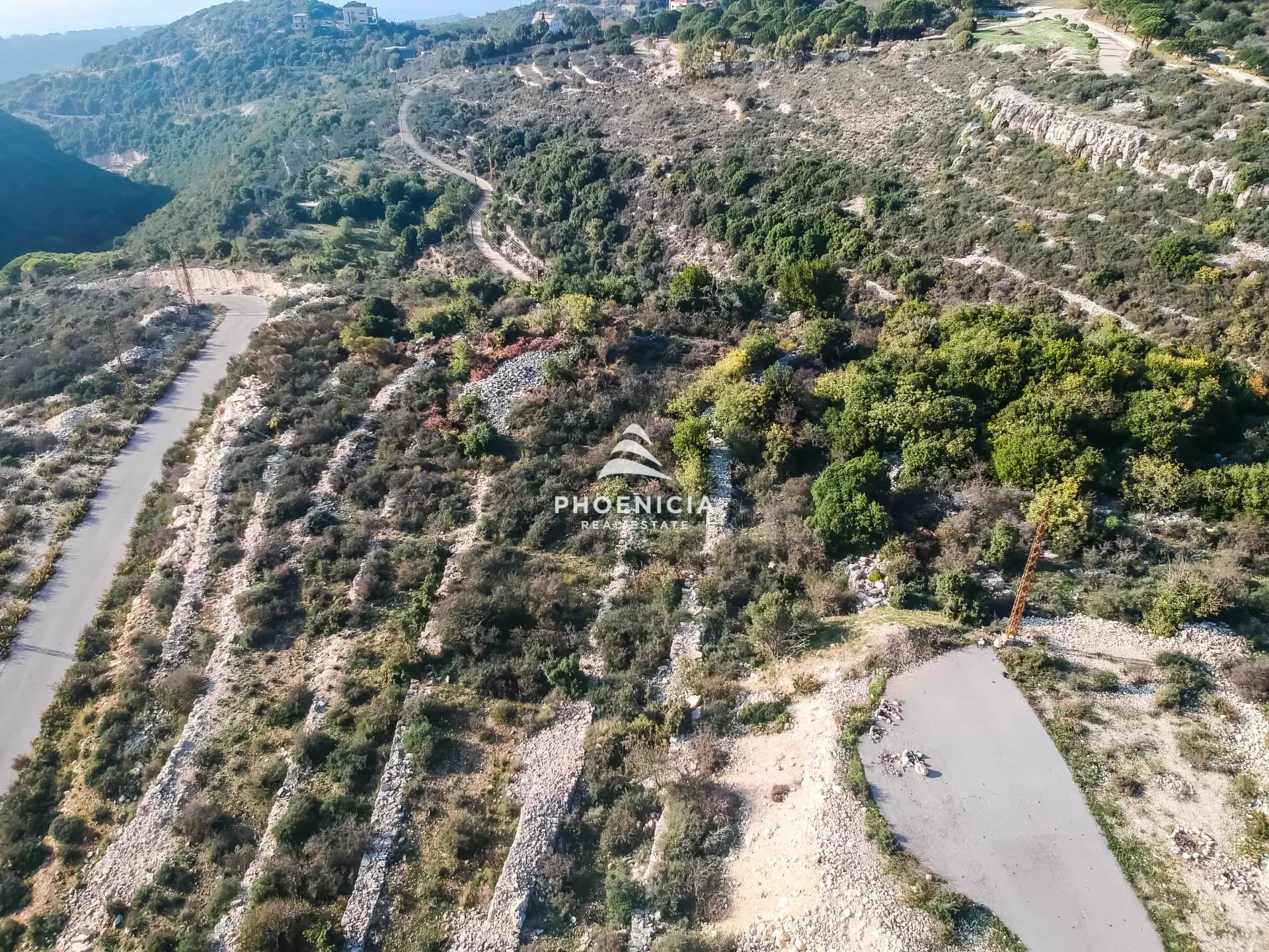 Land for Sale in Gharzouz — photo 12