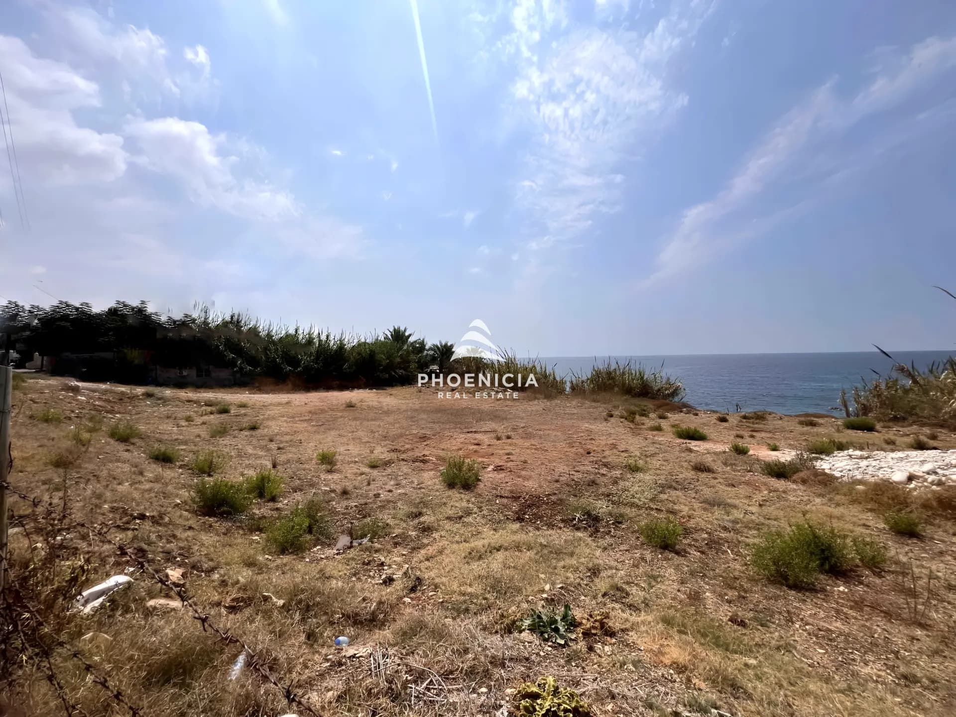 Land for Sale in Aamchit — photo 4