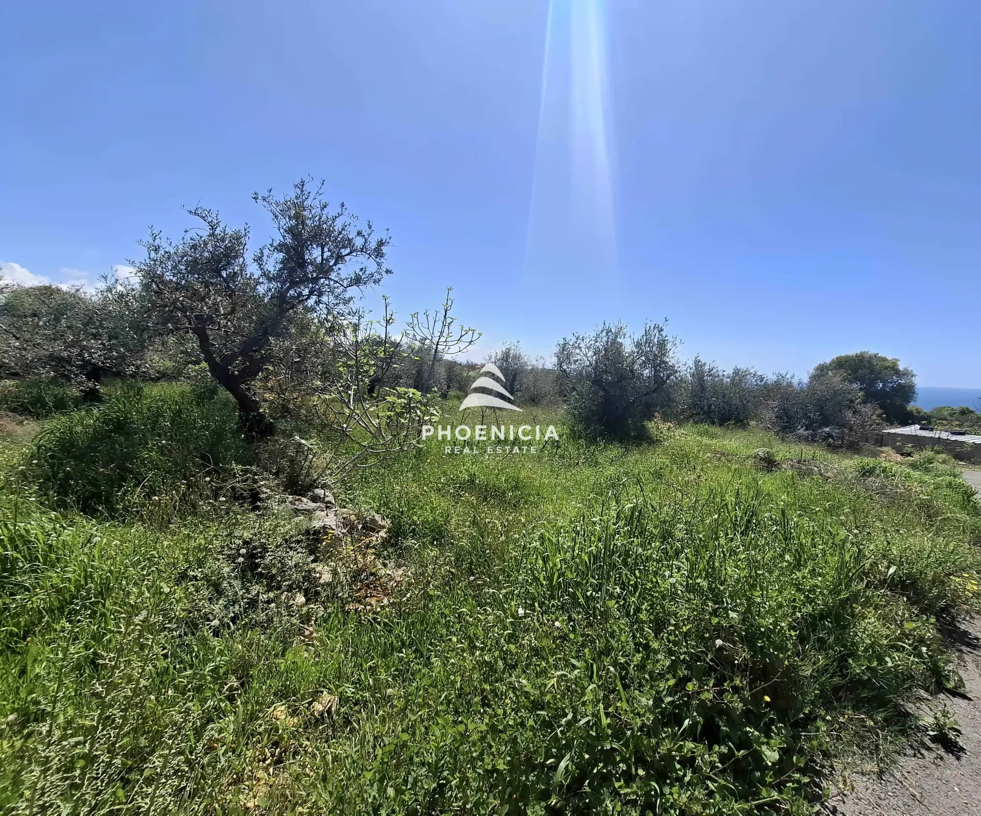 Land for Sale in Monsef — photo 3
