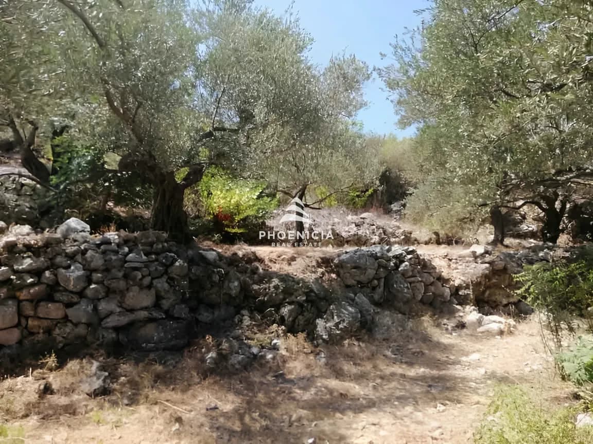 Land for Sale in Monsef — photo 12