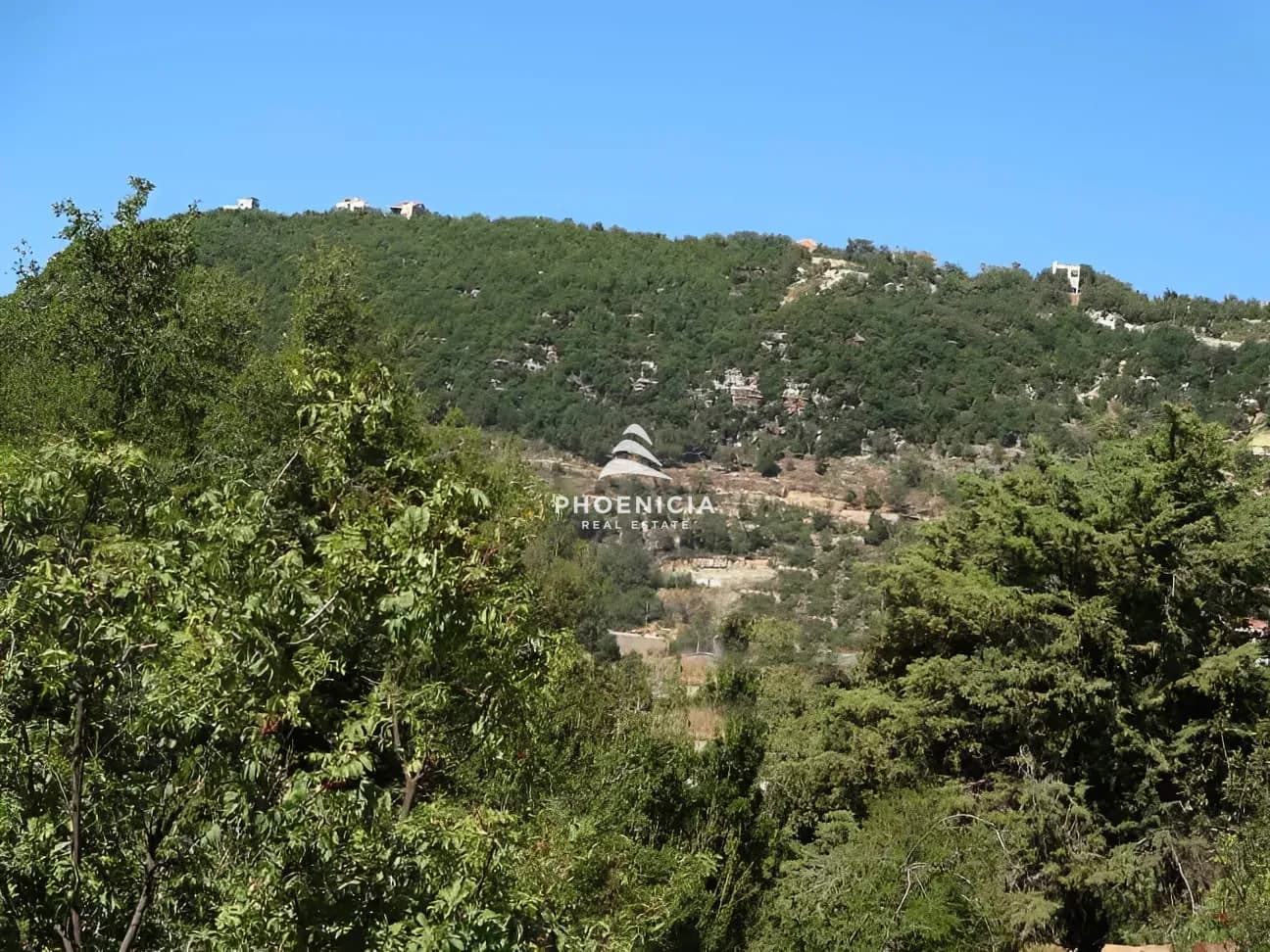 Land for Sale in Ehmej — photo 3