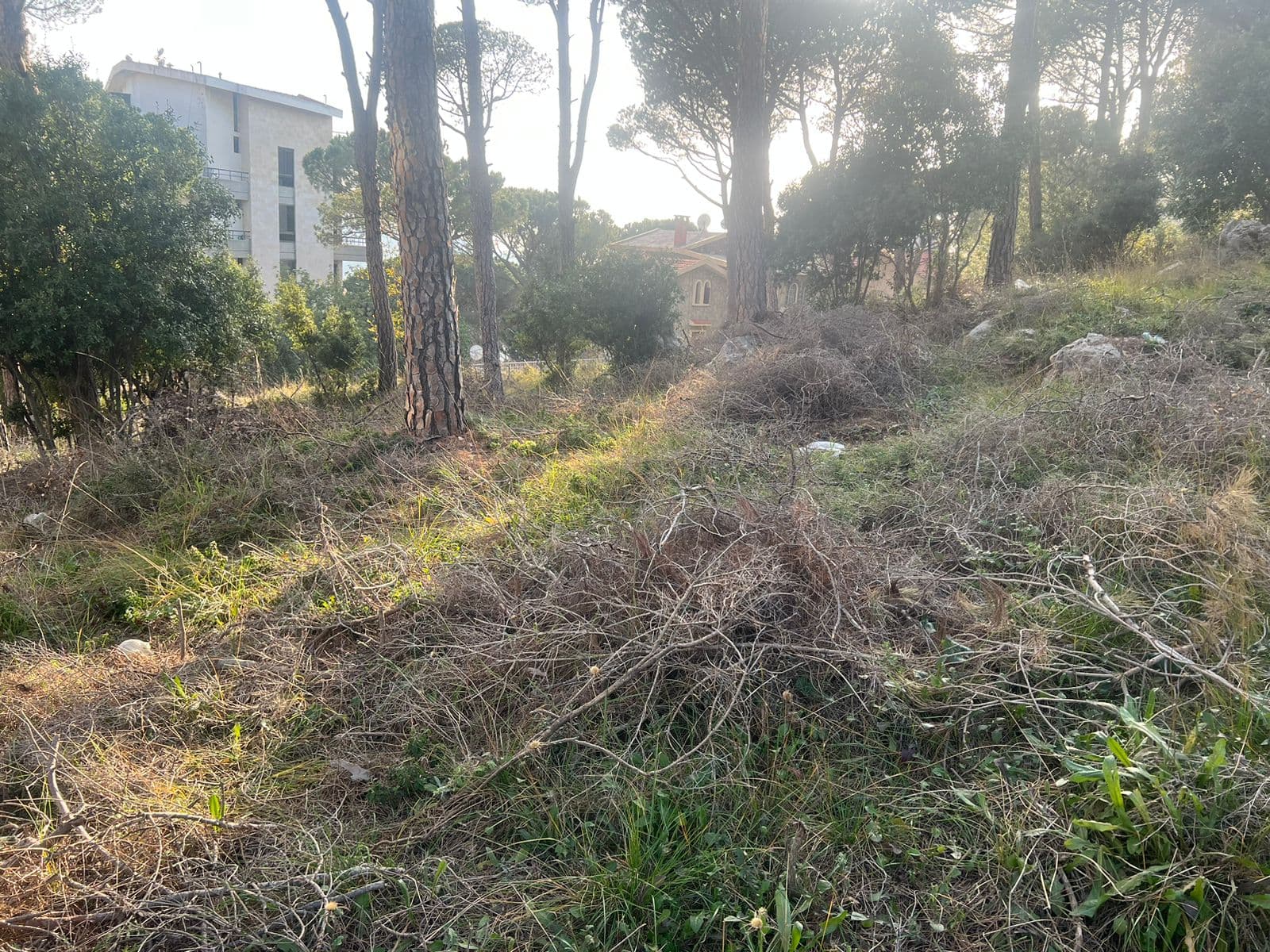 One of the unique lands in Broumana Oyoun!