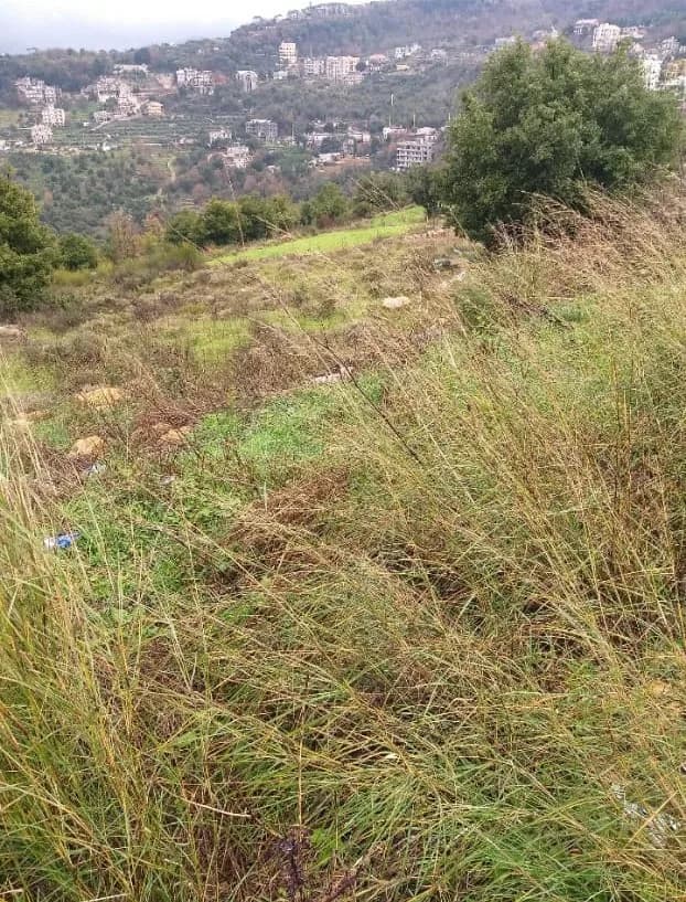 Land for Sale in Chwaya - Prime Investment Opportunity — photo 2