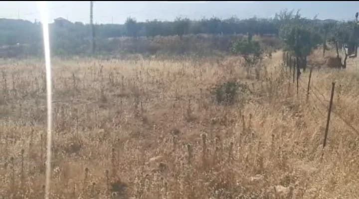 Land for Sale in Zahle – Maalaka — photo 2