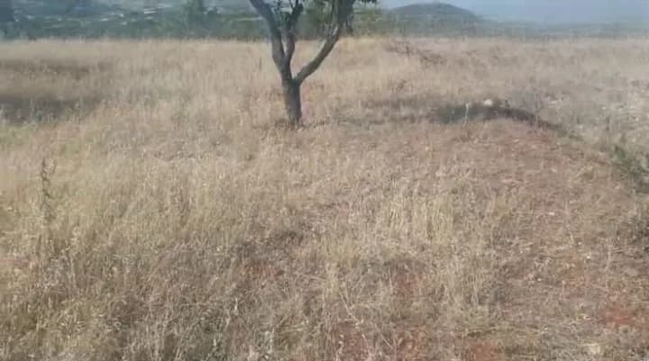 Land for Sale in Zahle – Maalaka — photo 3