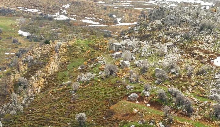 Land for Sale in Tannourine Fawka โ Laklouk โ photo 2