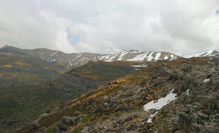 Land for Sale in Tannourine Fawka โ Laklouk โ photo 3