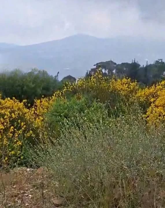 Land for Sale in Douma