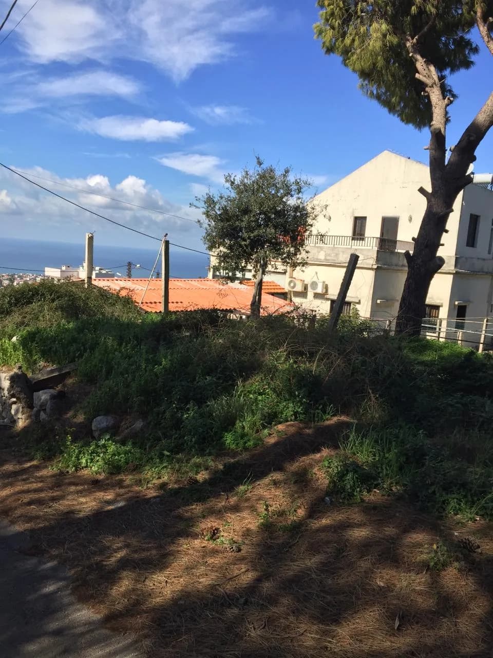 Land for Sale in Kfar Mashoun — photo 3