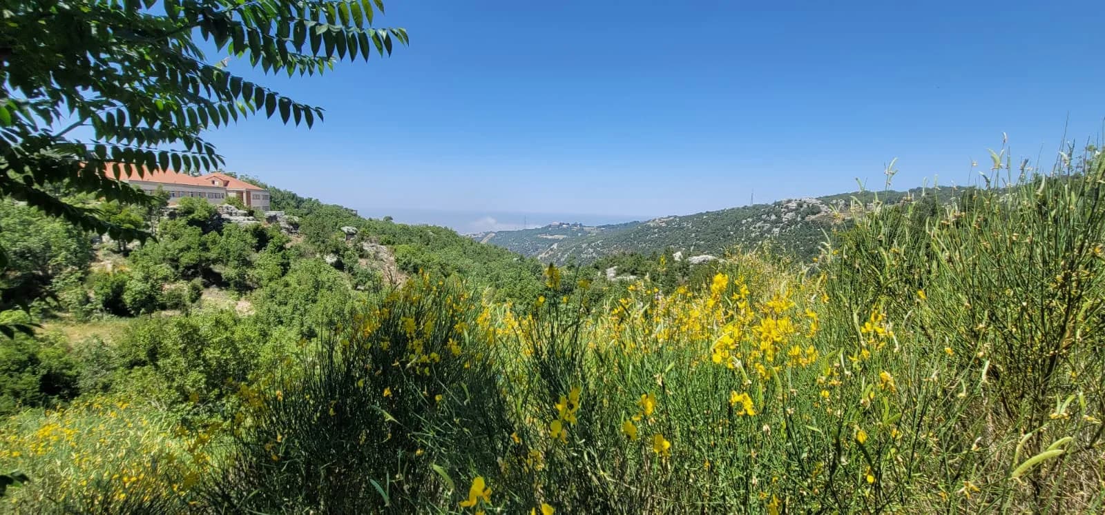 Land for Sale in Aachqout, Lebanon