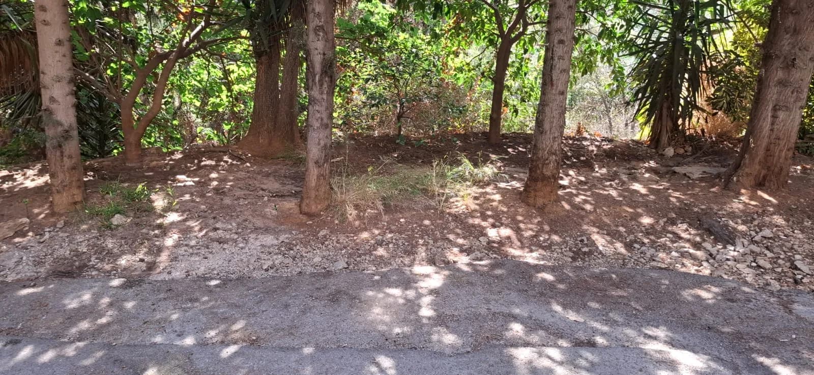 Land for Sale in Dik El Mehdi, Lebanon — photo 3