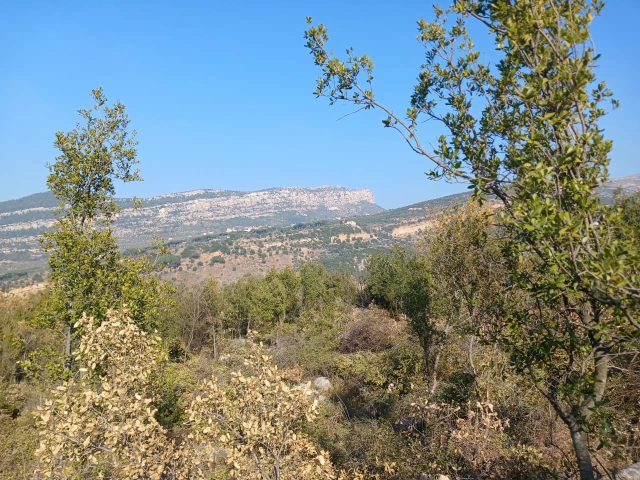 Land for Sale in Douma, Lebanon