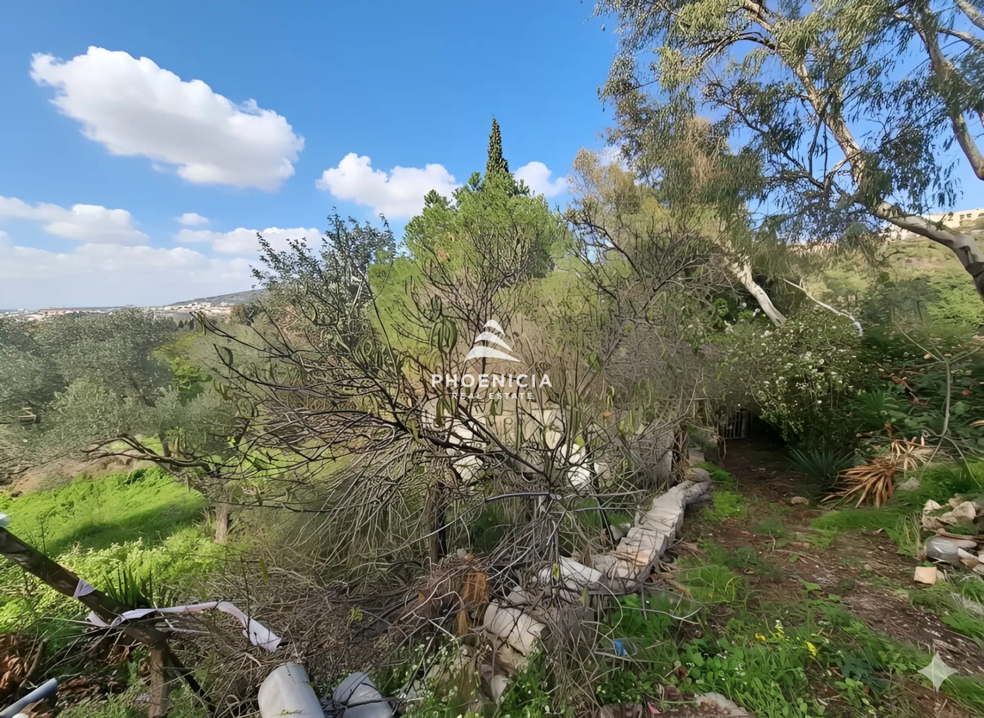 Land for Sale in Batroun — photo 6