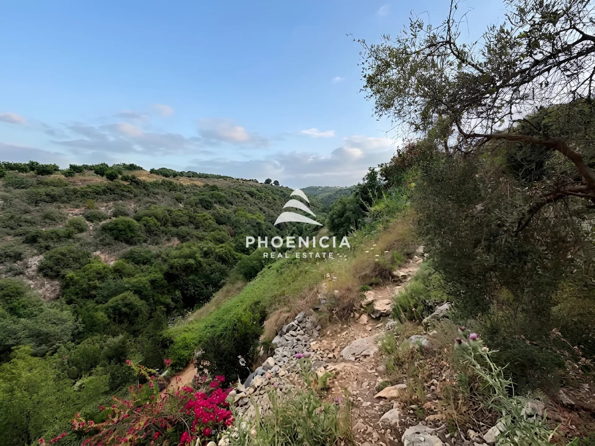 Residential Land for sale in Blat, Jbeil, Lebanon — photo 7