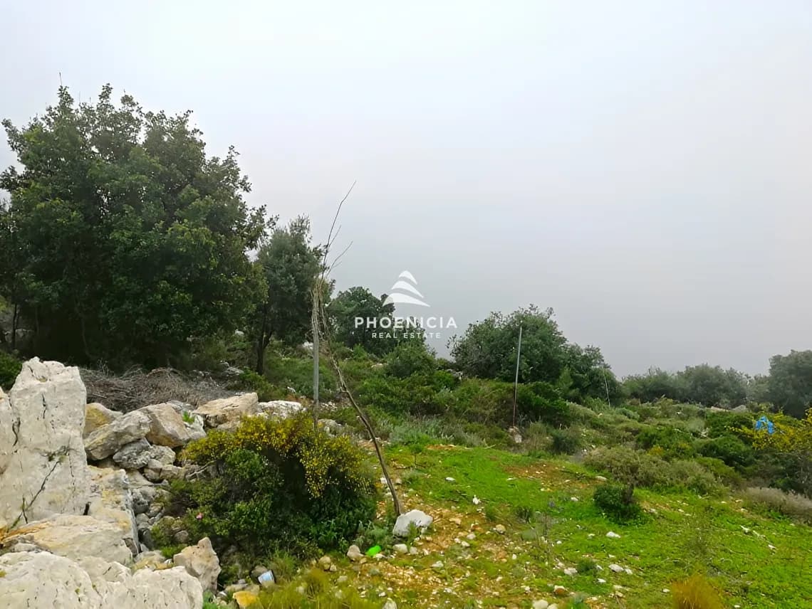 Land for Sale in Blat — photo 10
