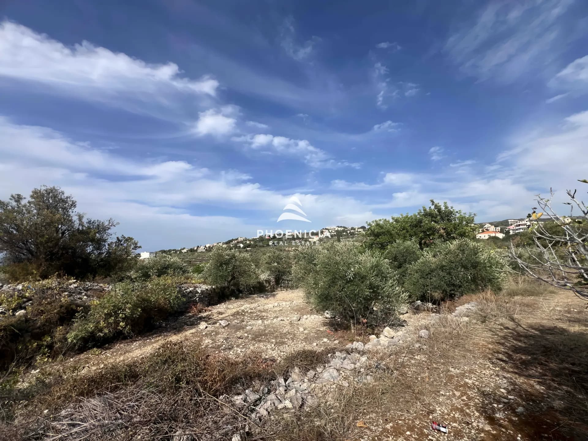 Land for Sale in Chikhane — photo 1
