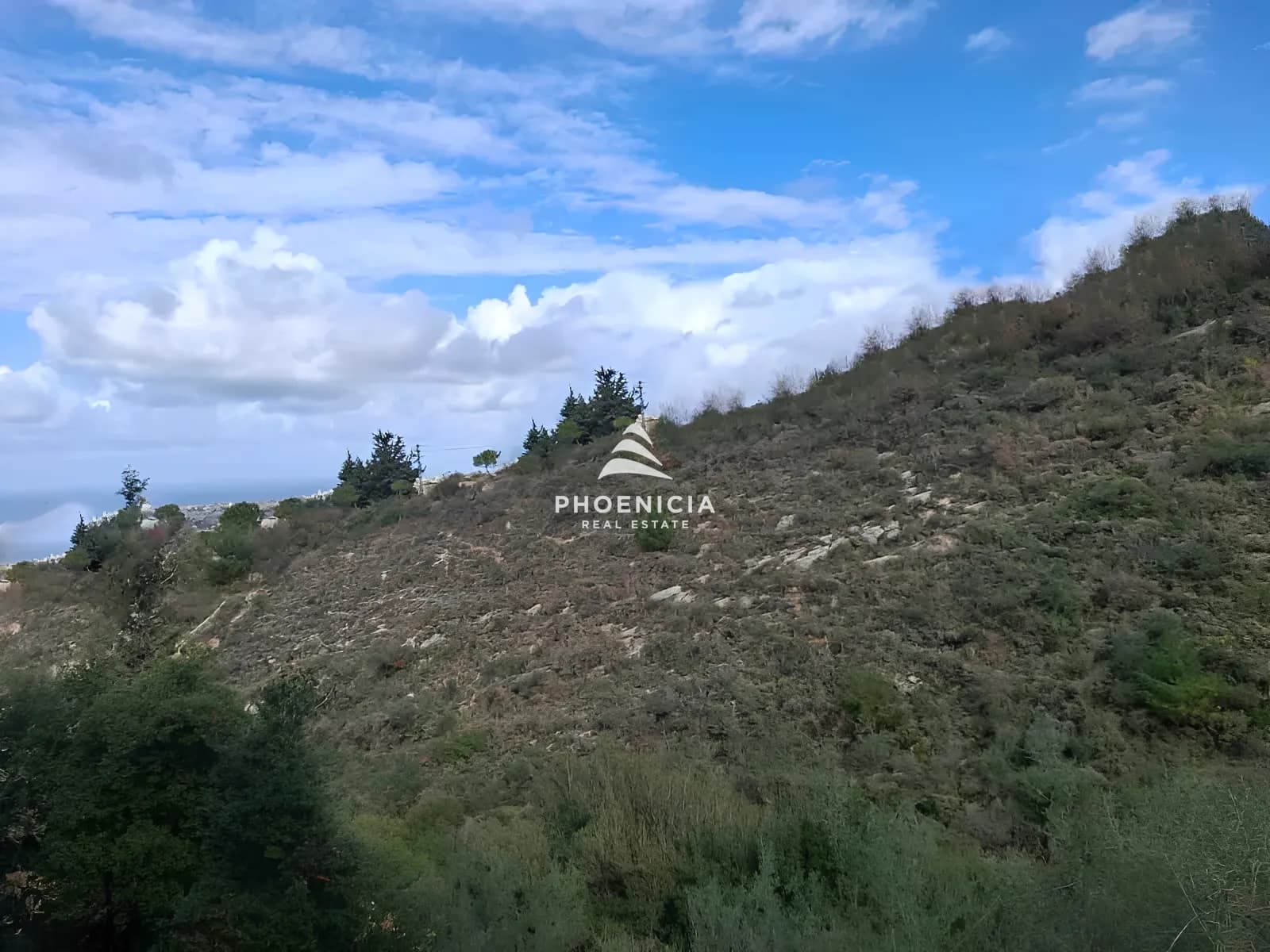 Land for Sale in Blat — photo 6