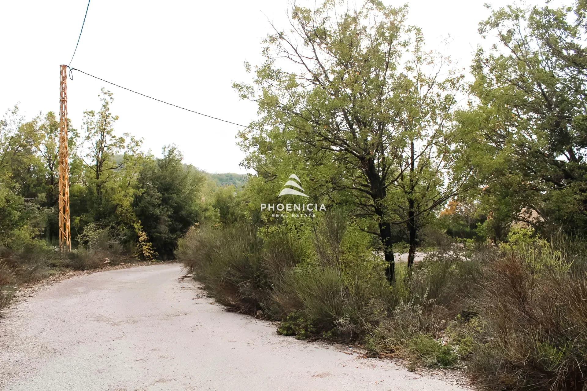 Land for Sale in Aannaya — photo 2