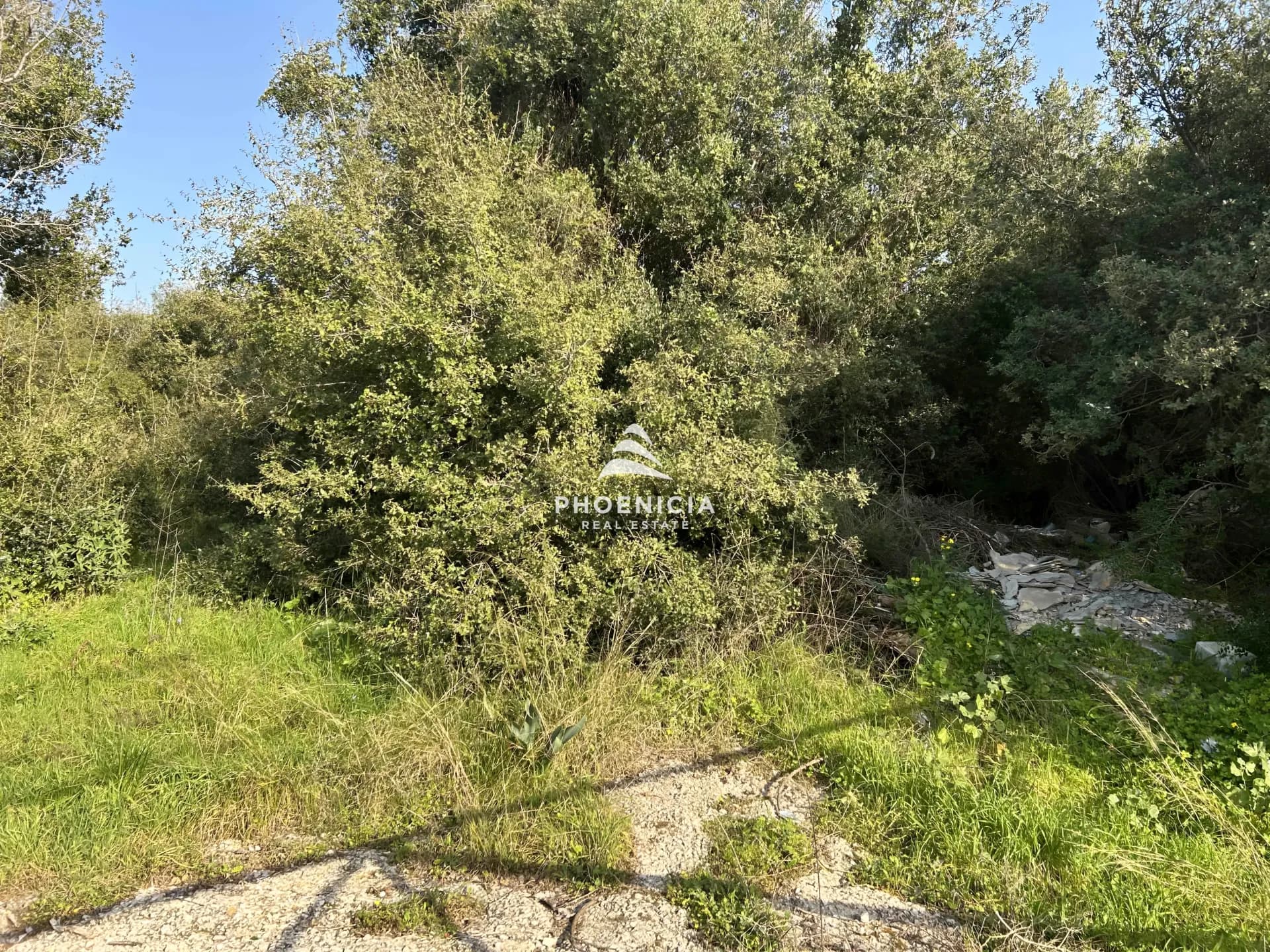 Land for Sale in Bouar, Lebanon — photo 4