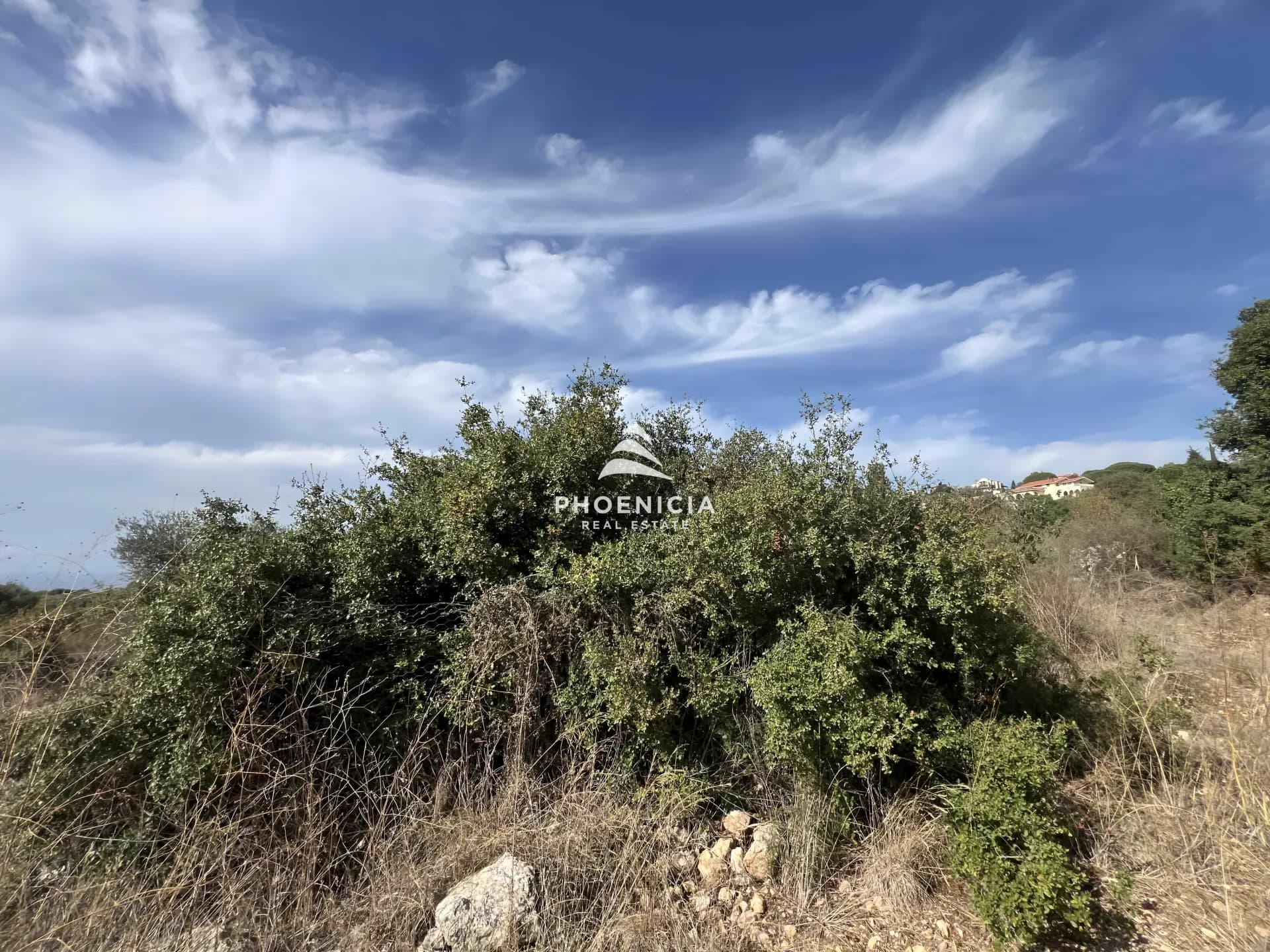 Land for Sale in Chikhane — photo 4