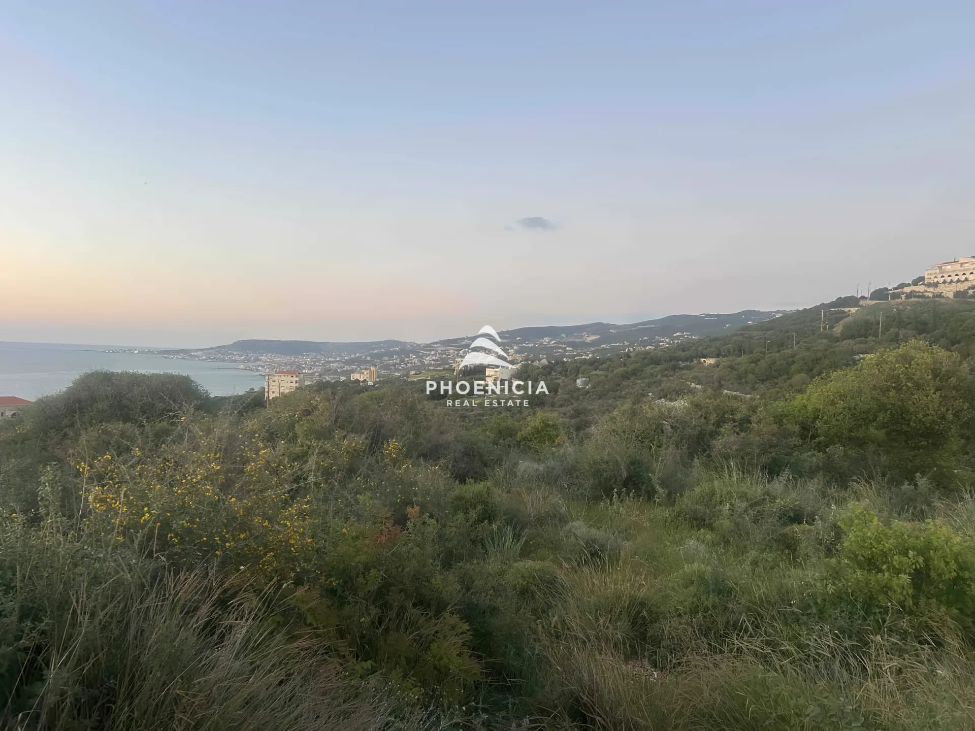Land for Sale in Berbara — photo 4