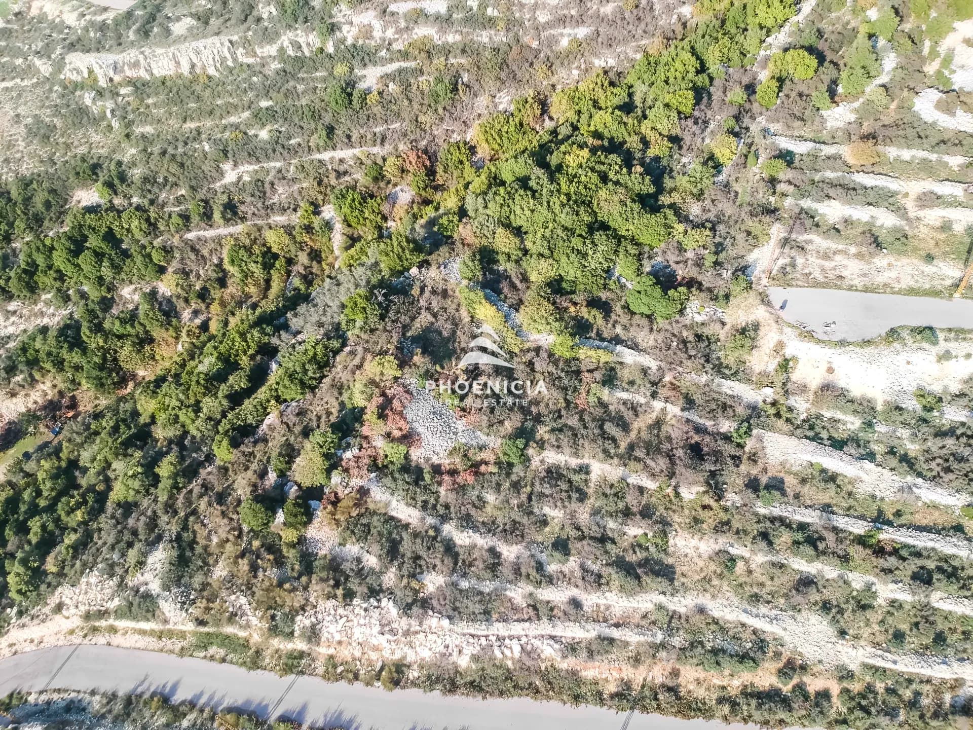 Land for Sale in Gharzouz — photo 9
