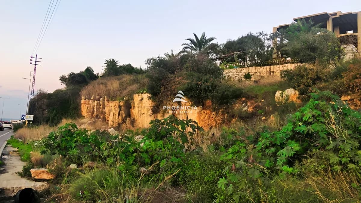 Land for Sale in Aamchit — photo 2