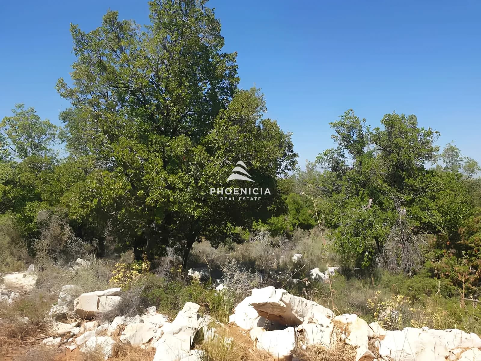 Land for Sale in Mechmech — photo 2