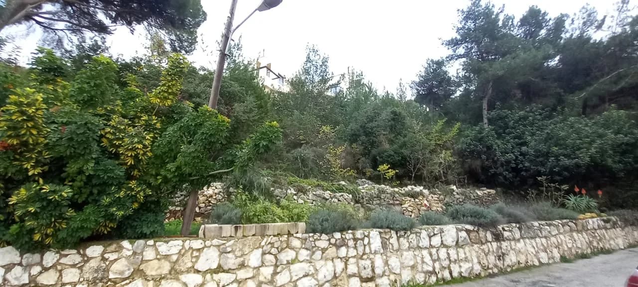 Land for Sale in Delbta, Lebanon — photo 1