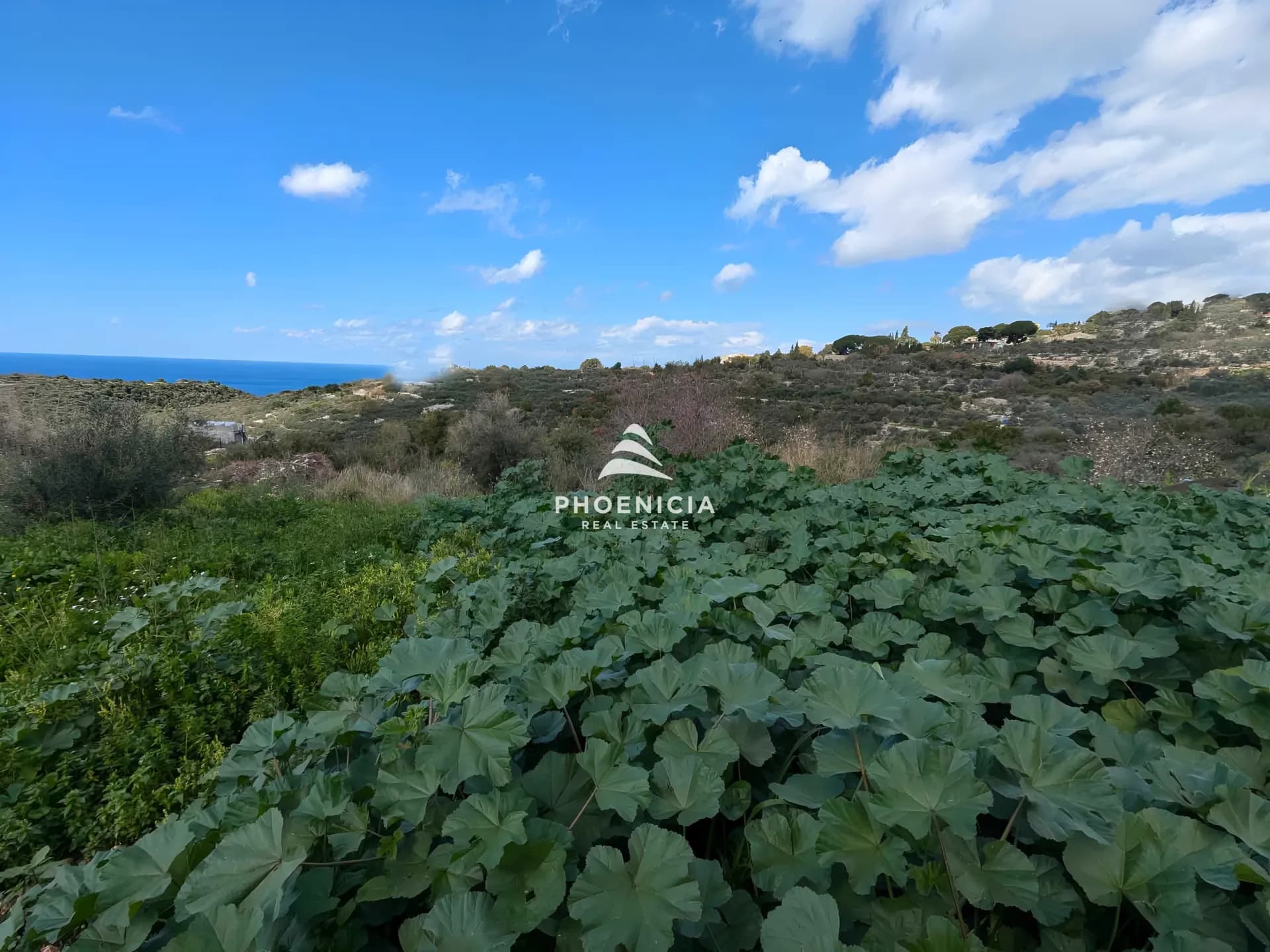 Land for Sale in Chikhane — photo 3