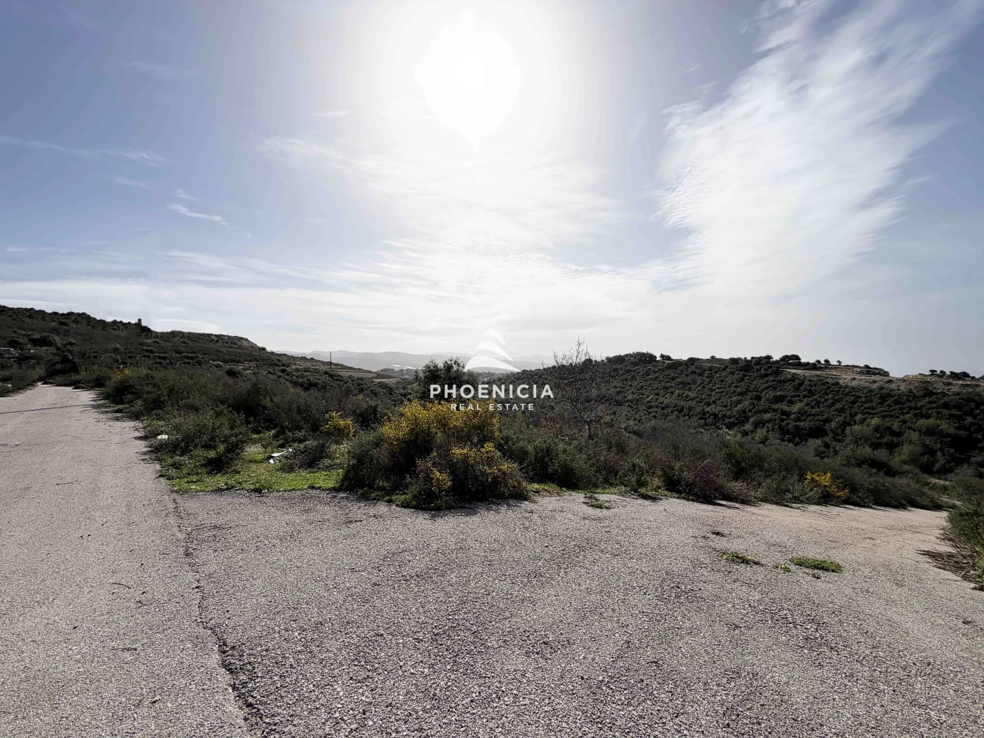 Land for Sale in Gharzouz — photo 8