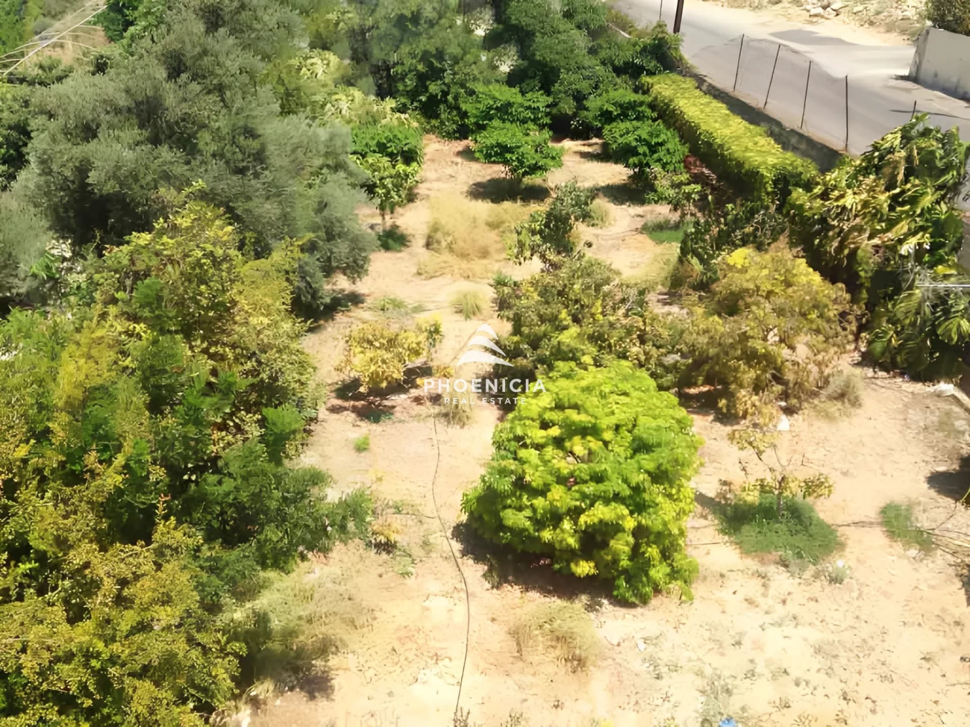 Land for Sale in Blat — photo 2