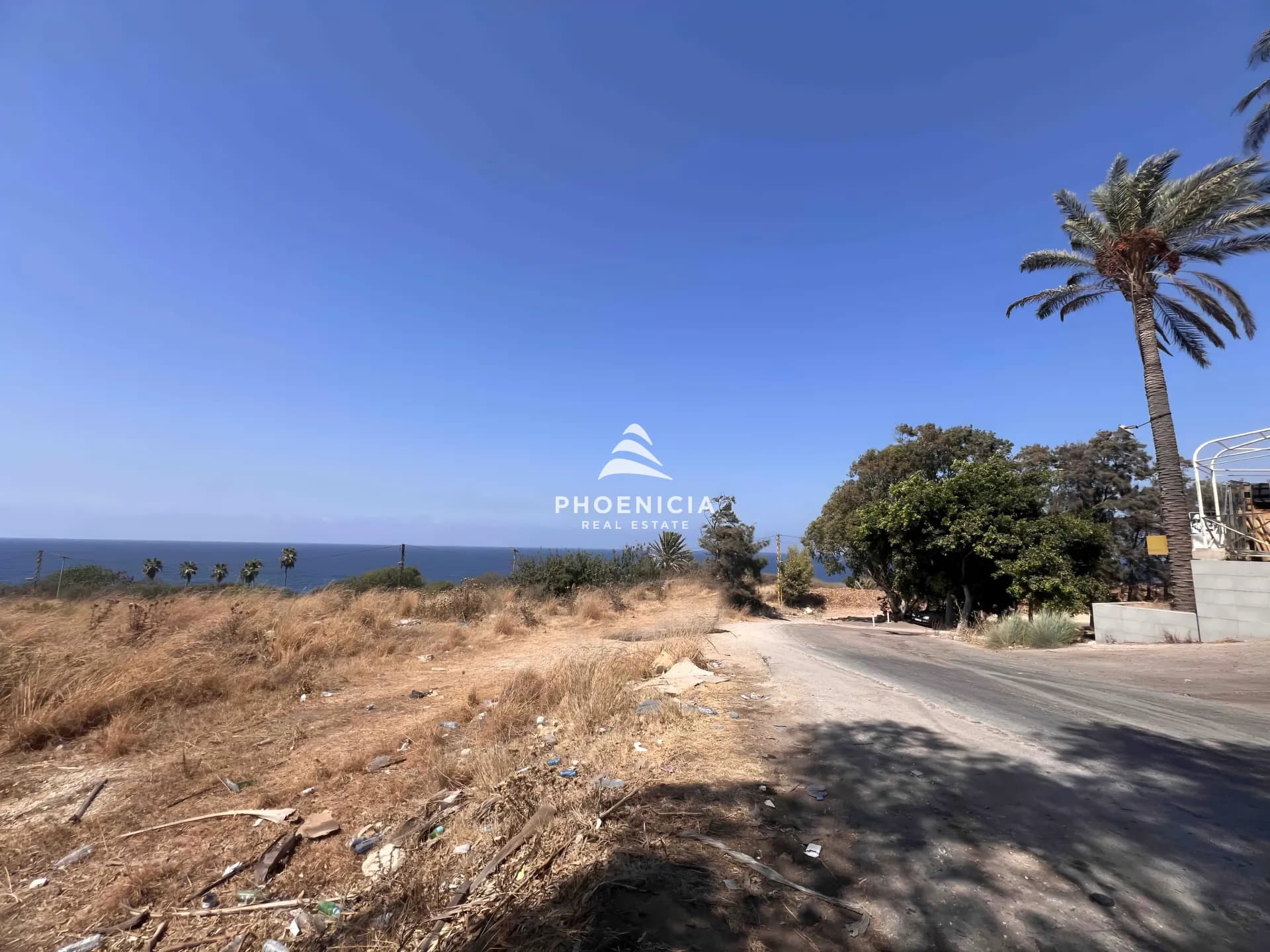 Land for Sale in Berbara — photo 5