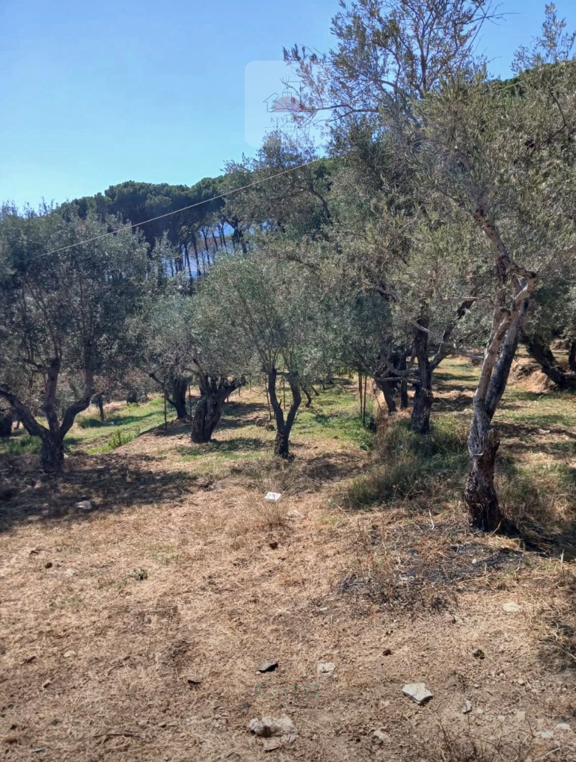 Land for Sale in Binouati