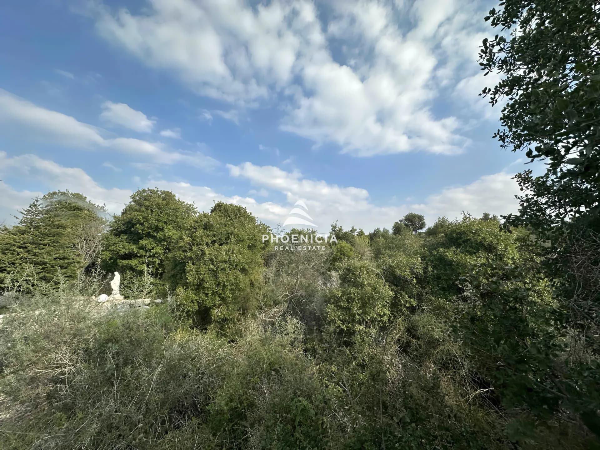 Land for Sale in Bejjeh — photo 6