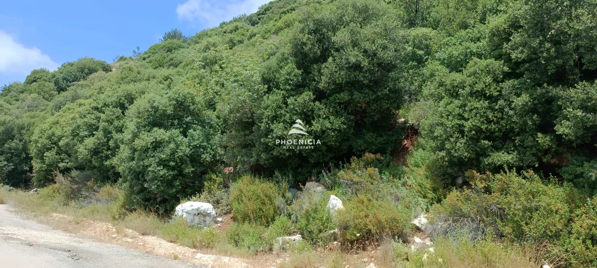 Land for Sale in Blat — photo 4