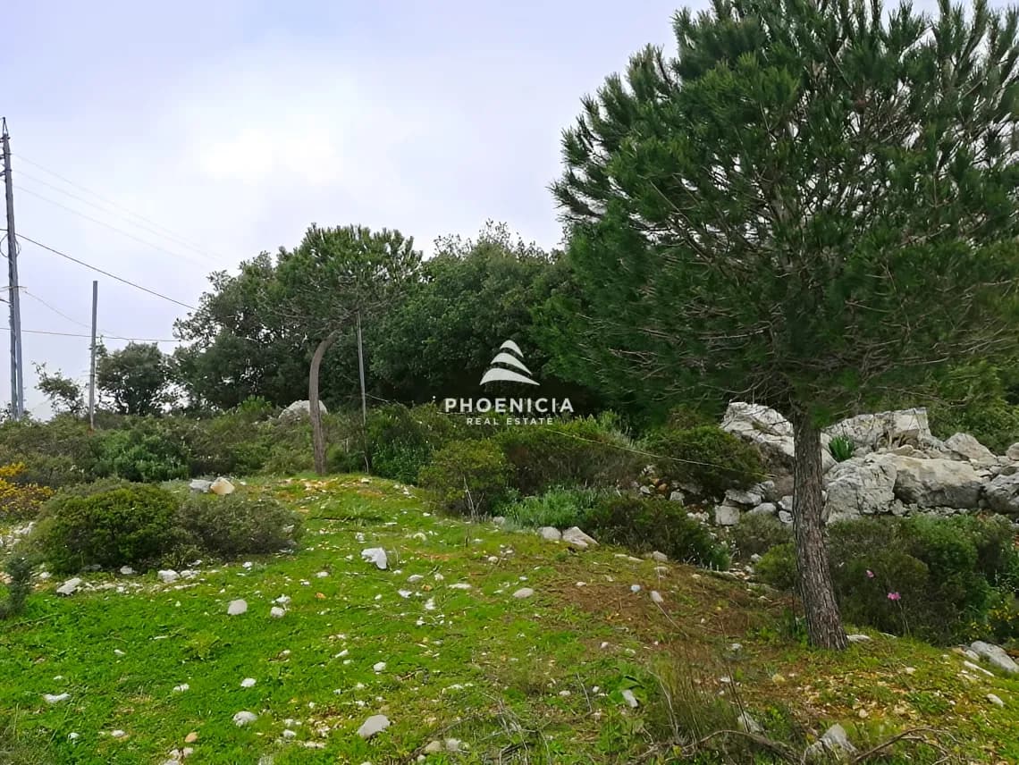 Land for Sale in Blat — photo 11