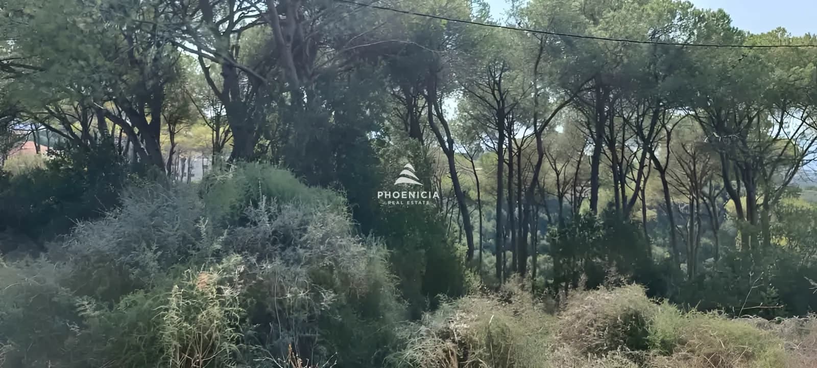Land for Sale in Gharzouz — photo 6