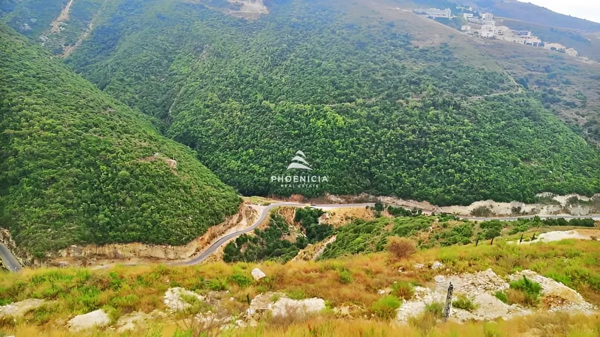 Land for Sale in Edde — photo 3
