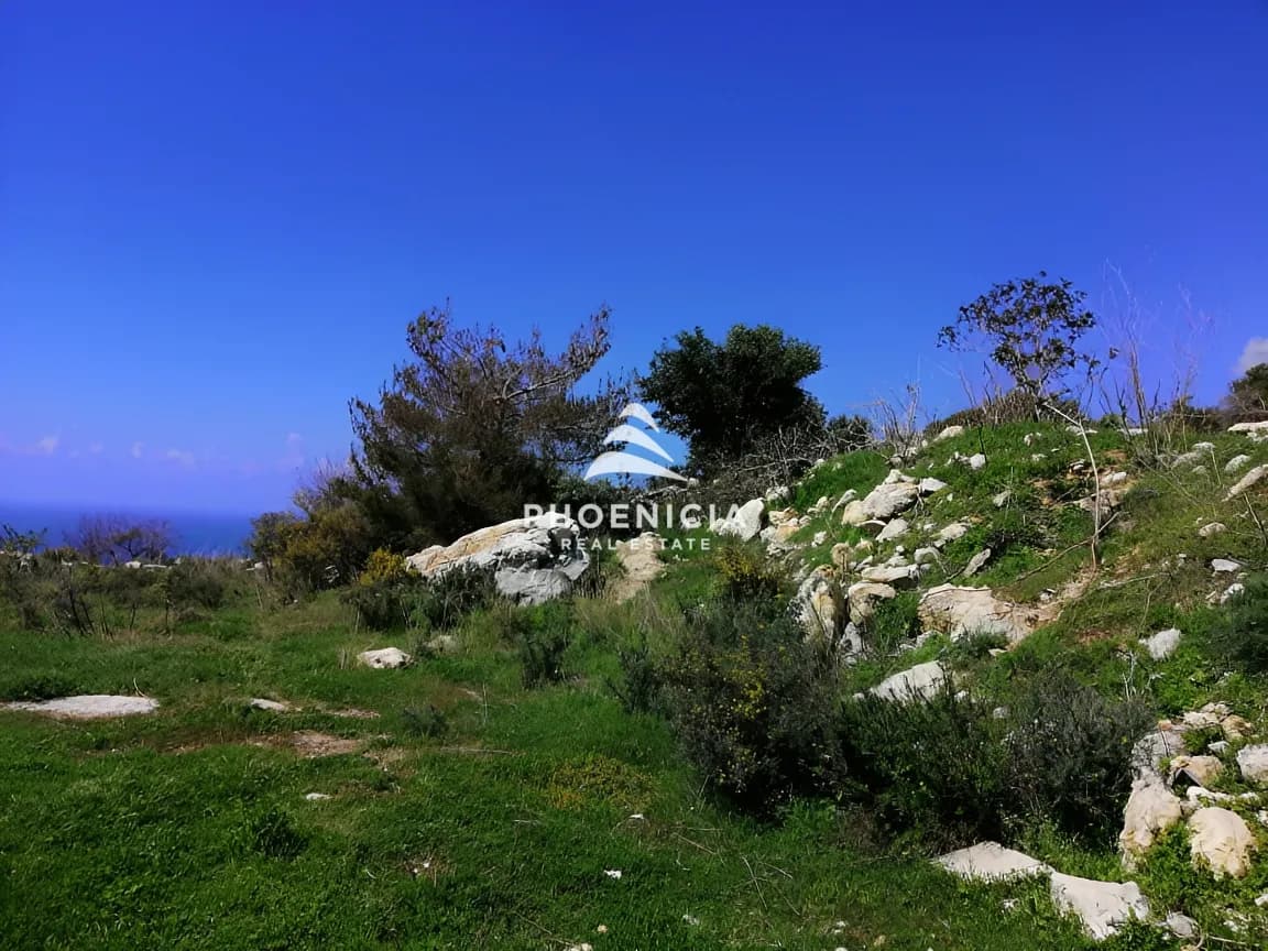 Land for sale in Chikhane, Jbeil, Lebanon — photo 17