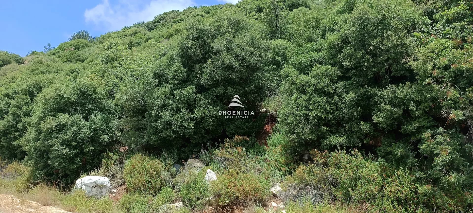 Land for Sale in Blat — photo 6