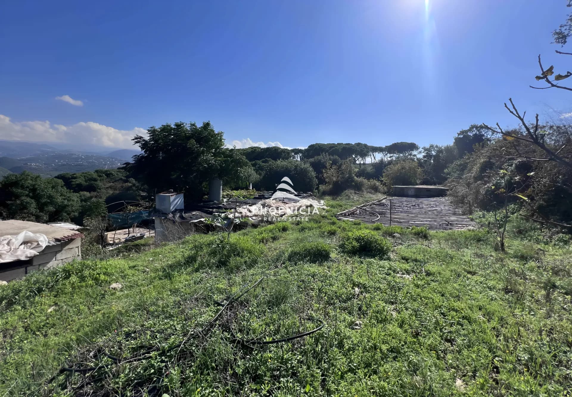 Land for Sale in Maad — photo 2