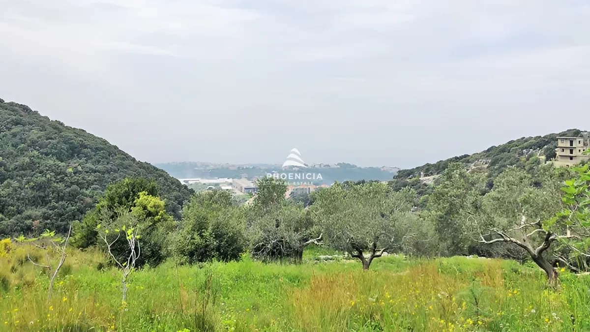 Land for Sale in Gharzouz — photo 3